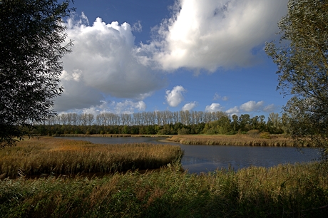 Mooie natuur