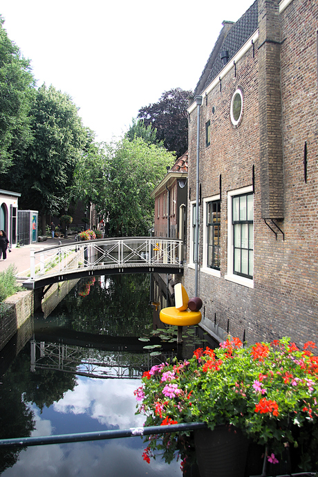 Kaas zweeft  boven het water 