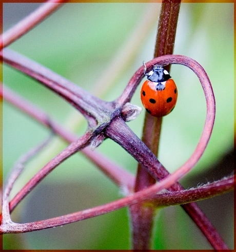 Kruispunt, waar nu heen?