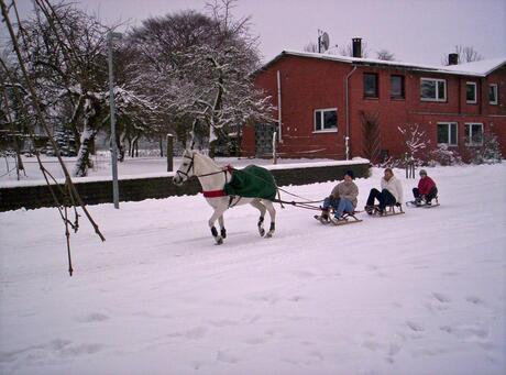 winter in Bokel