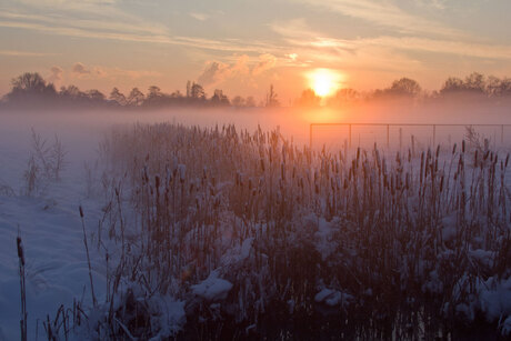 Grondmist en sneeuw2