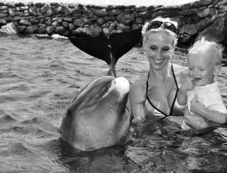 lekker verkoeling in de caribbean with lovely dolphins