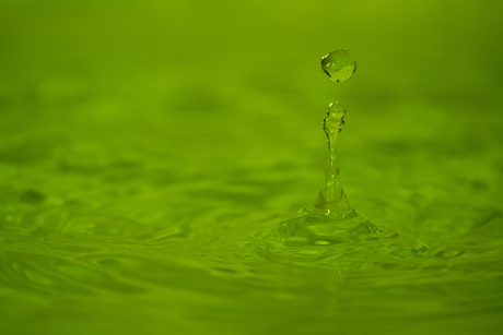 The Green Drop.jpg