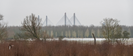Martinusnijhoff brug