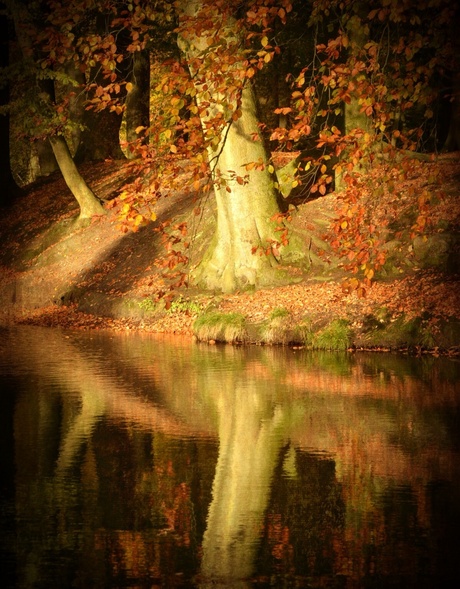 Colours of autumn