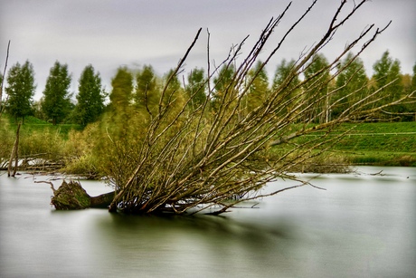 Lake(n) Laagraven