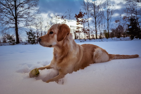 Utah in de sneeuw