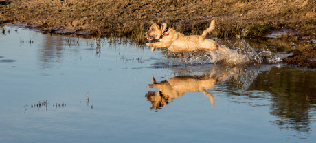 Duik in het water