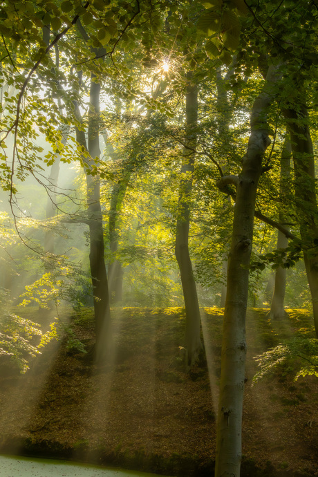 Waar de herfst begint