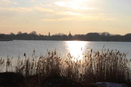 Nedereindseplas IJsselstein