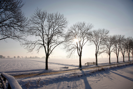 winterlandschap zegveld