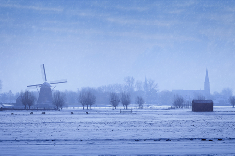Dutch winter