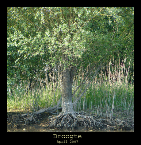 Droogte in April 2007