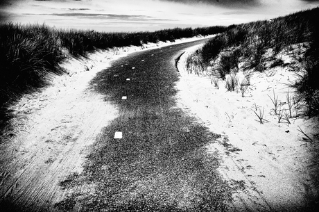 Fietspad door de duinen