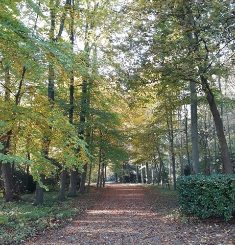 Herfst vorige jaar