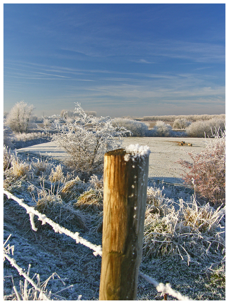 Winters landschap