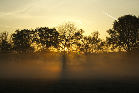 Goedemorgen