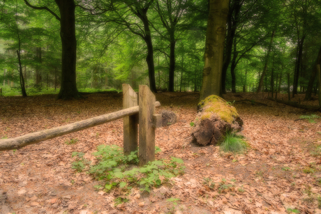 Planken Wanbuis