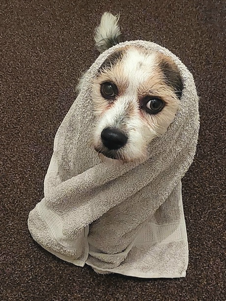 Brrr heb het zo koud