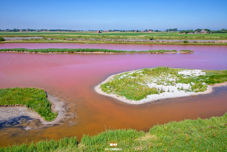 Roze water op Texel.