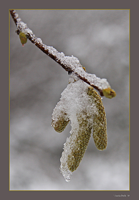 weer winter