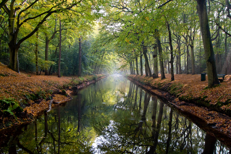 Herfst in Bergen