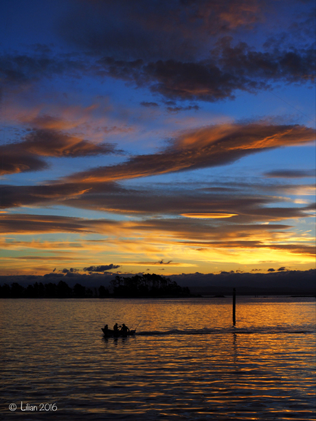 Fishing @ Sunset