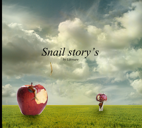 Snail story's