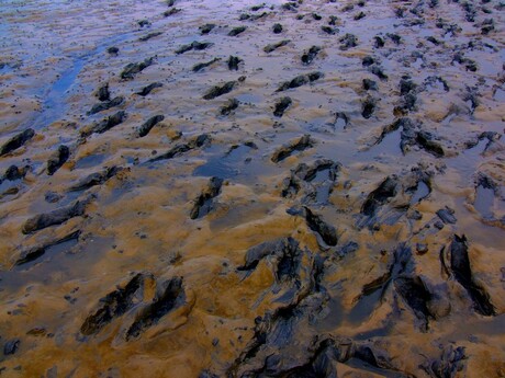 wadlopen