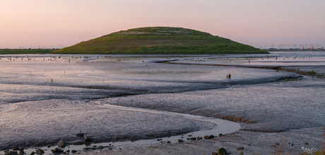Panoramaheuvel - Verdronken land van Saeftinghe