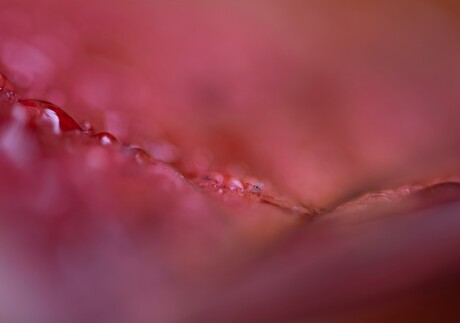 Zoekplaatje 2 (zie omschrijving)