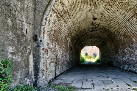 Tunnel