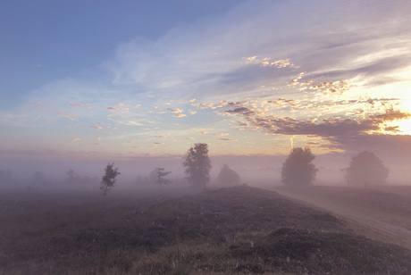 Balloërveld 1
