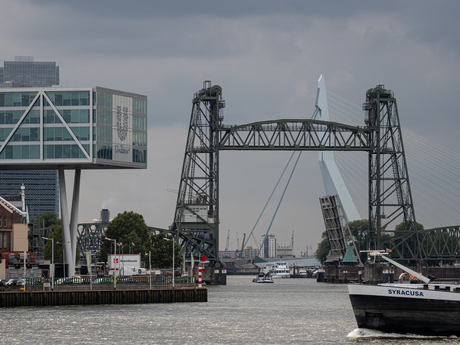 Rotterdam De bruggen