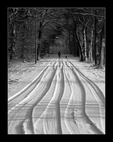 Sporen in de sneeuw2