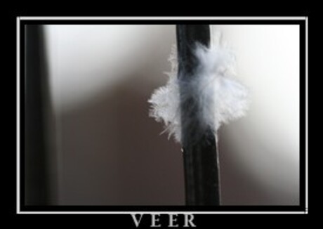 Veer