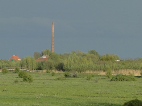 Wageningse uiterwaarden, in de verte een steenfabriek. (SONY, 2015-4-27, B. jpg (2) 1132)