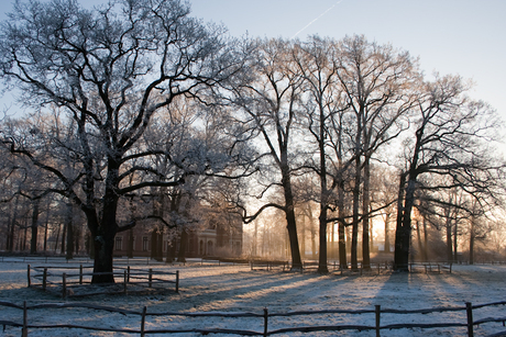 Zonsopkomst met rijp