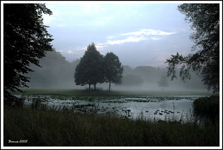 Misty night