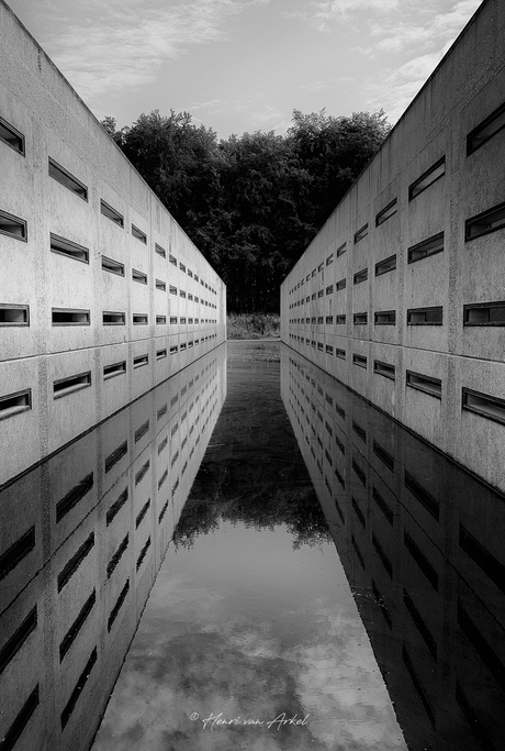 Waterloopbos Deltawerken (Zwart-Wit)