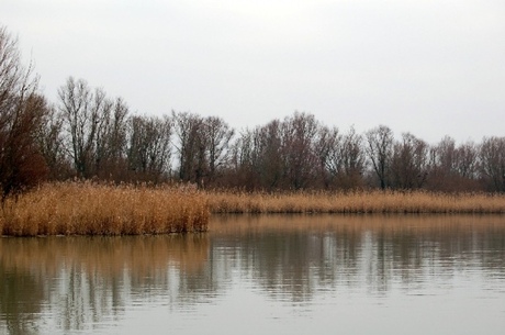 Oostvaarderplassen