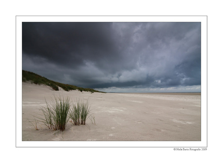 Ameland 9