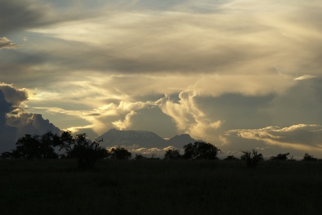 Kilimanjaro