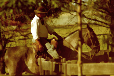 Gaucho