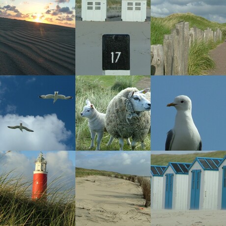 Groeten uit texel