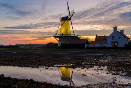 Molen