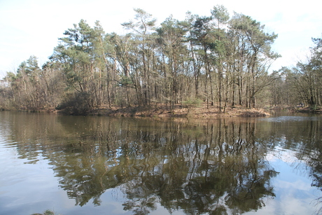 Wandeling door de bossen