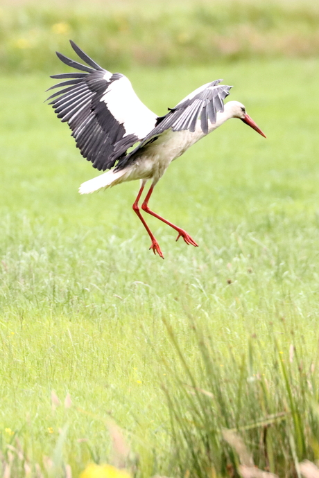 Landing bijna voltooid