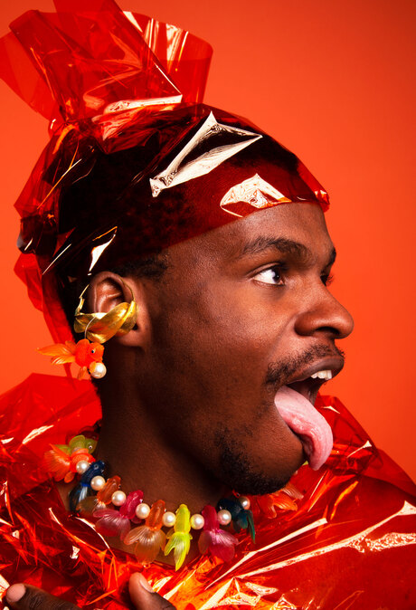 Bruno - licking orange