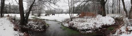 Winterse ode aan het Renkums Beekdal